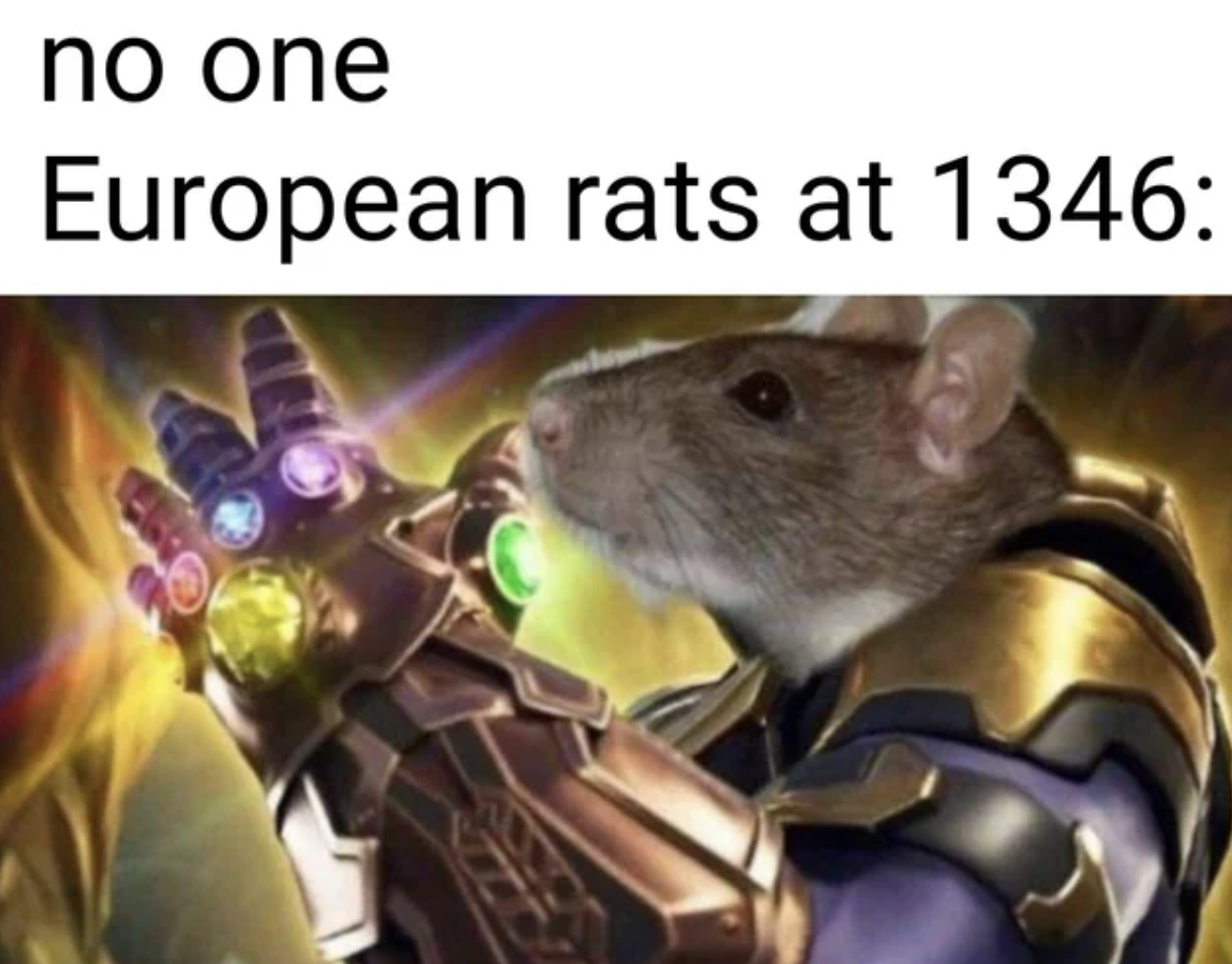 plague memes - no one European rats at 1346