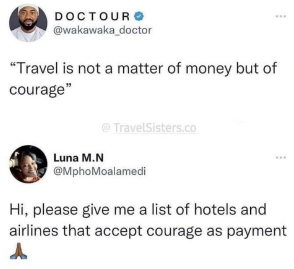 screenshot - Doctouro "Travel is not a matter of money but of courage" ... Luna M.N .co www. Hi, please give me a list of hotels and airlines that accept courage as payment A
