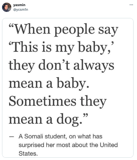 screenshot - yasmin "When people say "This is my baby,' they don't always mean a baby. Sometimes they mean a dog." A Somali student, on what has surprised her most about the United States.