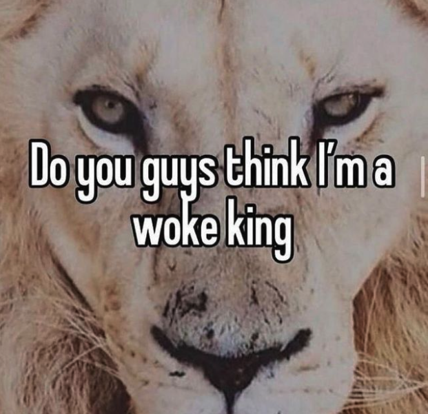lion - Do you guys think I'm a woke king