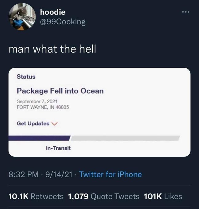 screenshot - hoodie man what the hell Status Package Fell into Ocean Fort Wayne, In 46805 Get Updates V InTransit 91421 Twitter for iPhone 1,079 Quote Tweets