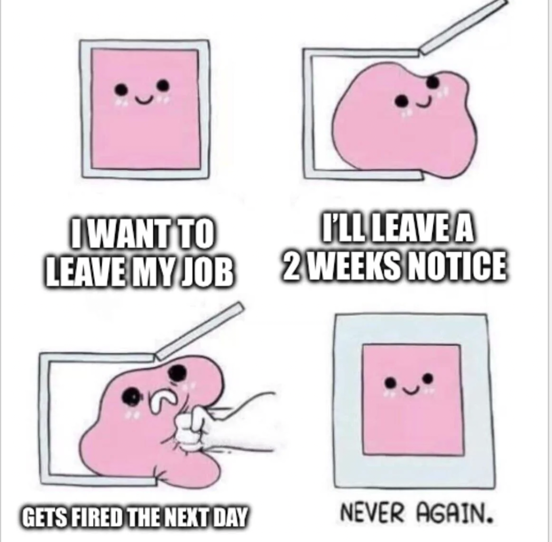 never again meme - I Want To Leave My Job I'Ll Leave A 2 Weeks Notice Gets Fired The Next Day Never Again.
