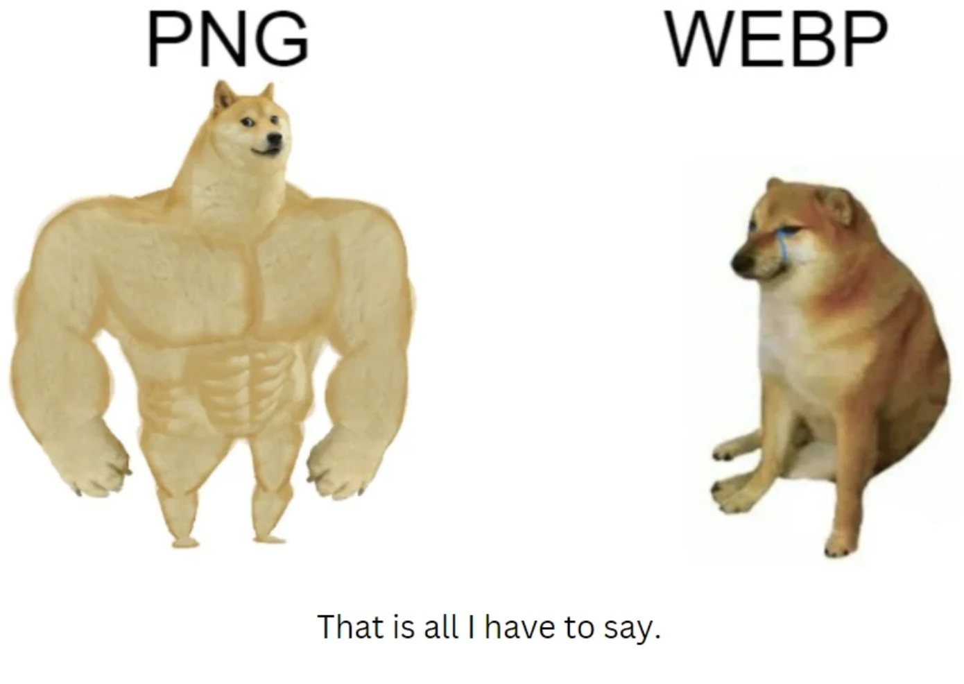 Meme - Png Webp That is all I have to say.