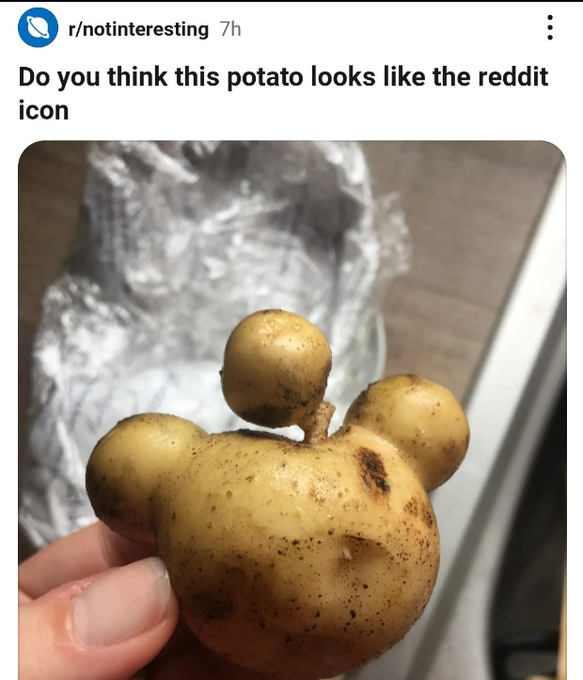 reddit potato - rnotinteresting 7h Do you think this potato looks the reddit icon