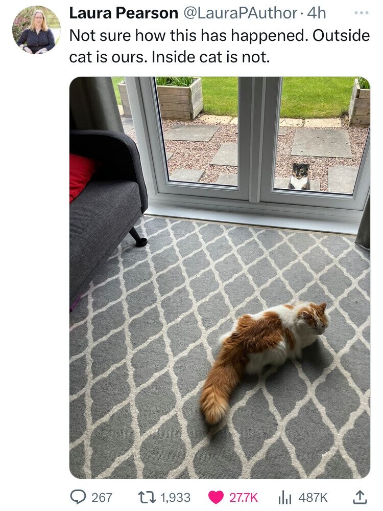 kitten - Laura Pearson . 4h Not sure how this has happened. Outside cat is ours. Inside cat is not. 267 1,933 Ill