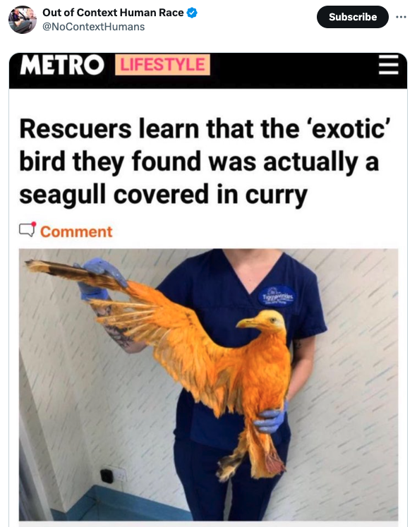 seagull covered in curry meme - Out of Context Human Race Metro Lifestyle Subscribe Rescuers learn that the 'exotic' bird they found was actually a seagull covered in curry Comment