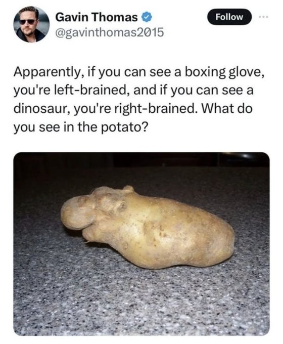 funny instagram posts - Gavin Thomas Apparently, if you can see a boxing glove, you're leftbrained, and if you can see a dinosaur, you're rightbrained. What do you see in the potato?