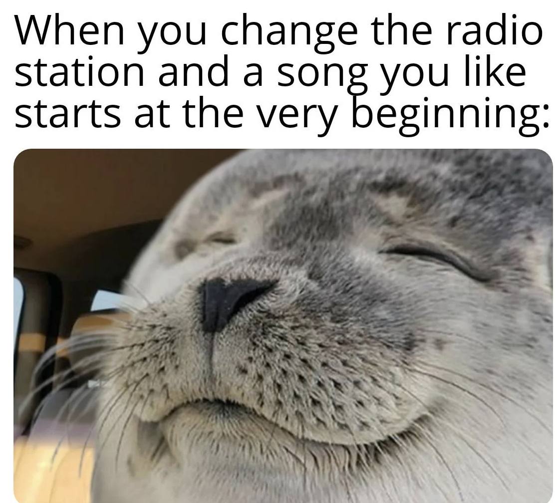 earless seal - When you change the radio station and a song you starts at the very beginning