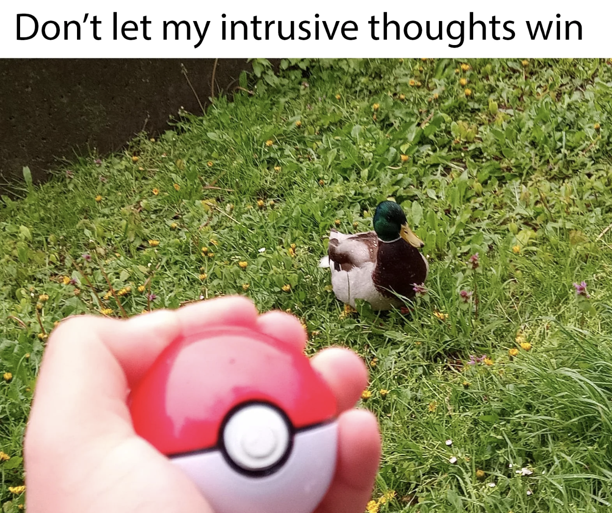 grass - Don't let my intrusive thoughts win