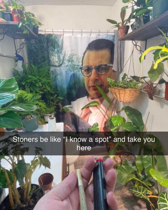 houseplant - Stoners be "I know a spot" and take you here