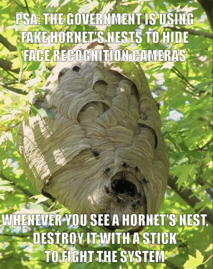 Psa The Government Is Using Fake Hornet'S Nests To Hide Face Recognition Cameras Whenever You See A Hornet'S Nest, Destroy It With A Stick To Fight The System