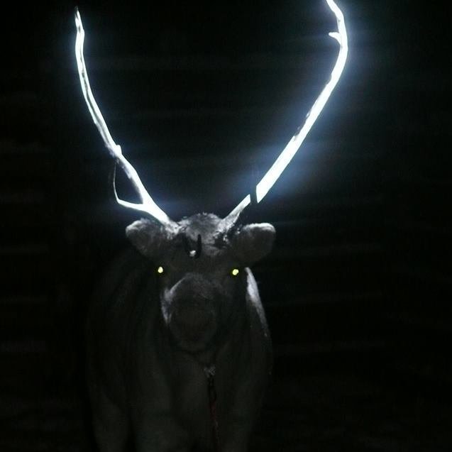 reindeer with reflective paint