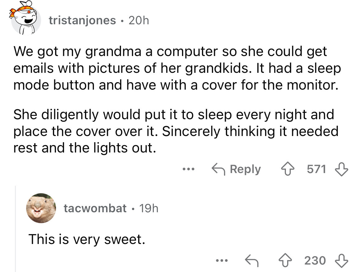 screenshot - tristanjones 20h We got my grandma a computer so she could get emails with pictures of her grandkids. It had a sleep mode button and have with a cover for the monitor. She diligently would put it to sleep every night and place the cover over 