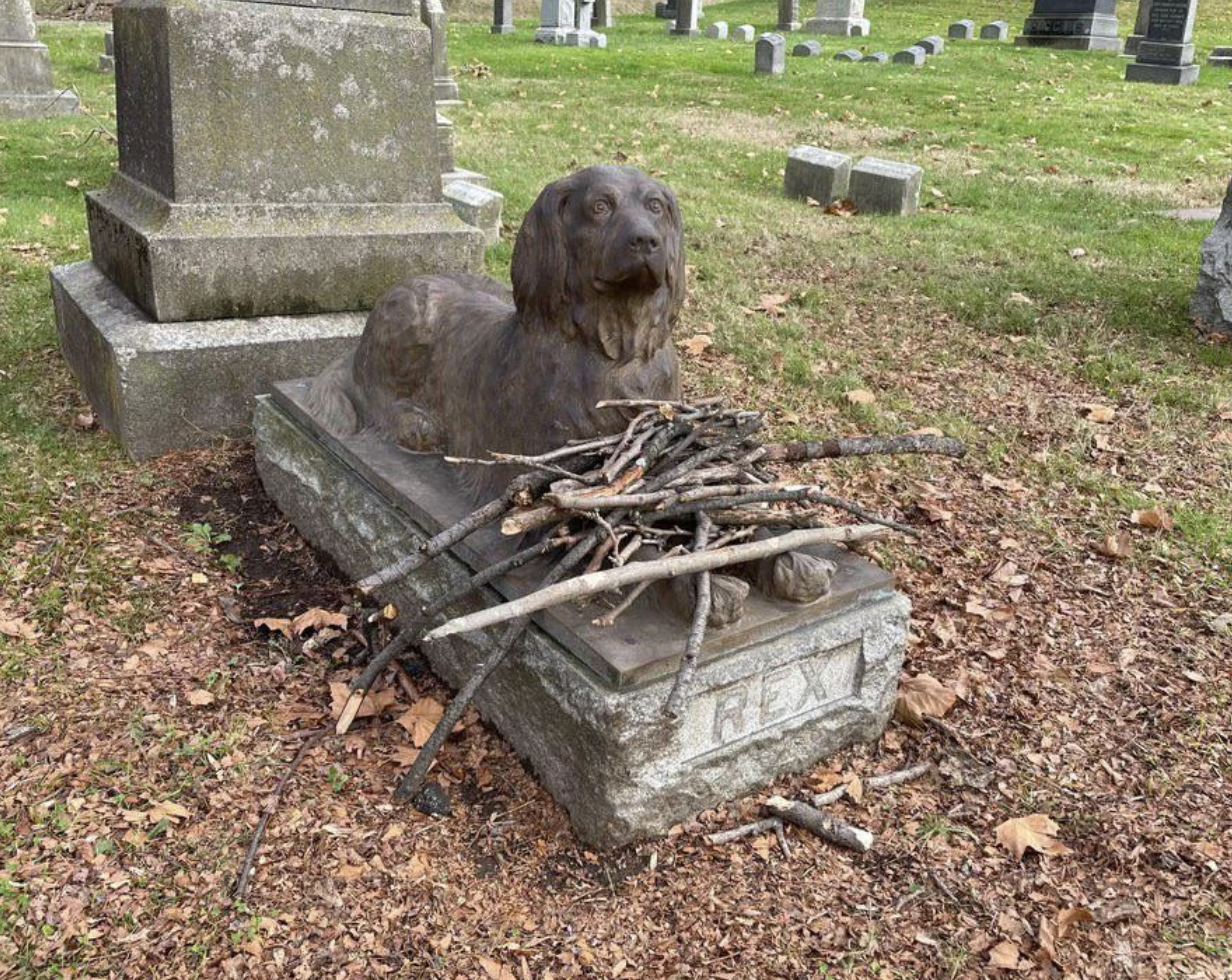 dog grave