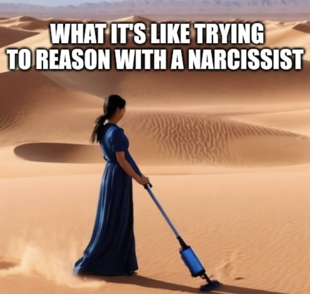 erg - What It'S Trying To Reason With A Narcissist