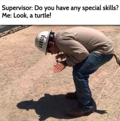 construction worker turtle shadow - Supervisor Do you have any special skills? Me Look, a turtle! Garcia