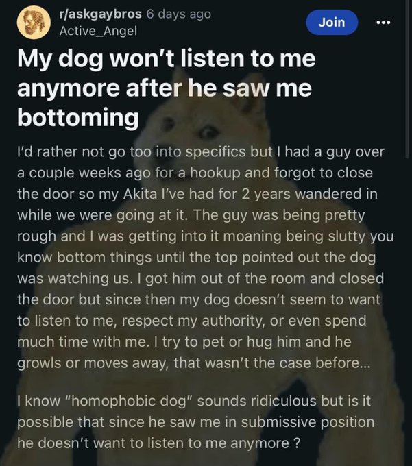 screenshot - raskgaybros 6 days ago Active_Angel My dog won't listen to me anymore after he saw me bottoming Join I'd rather not go too into specifics but I had a guy over a couple weeks ago for a hookup and forgot to close the door so my Akita I've had f