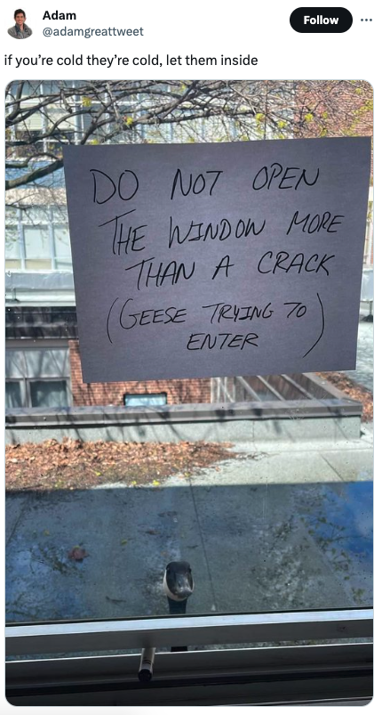 handwriting - Adam if you're cold they're cold, let them inside Do Not Open The Window More Than A Crack Geese Trying 70 Enter