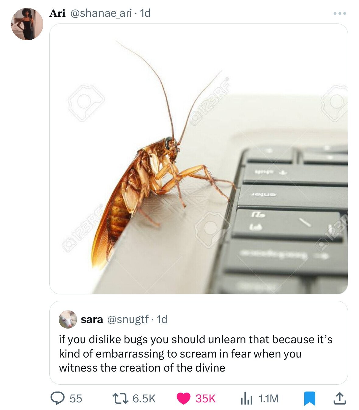 mosquito - Ari . 1d 123RF 123RF sara . 1d if you dis bugs you should unlearn that because it's kind of embarrassing to scream in fear when you witness the creation of the divine 55 35K ili 1.1M