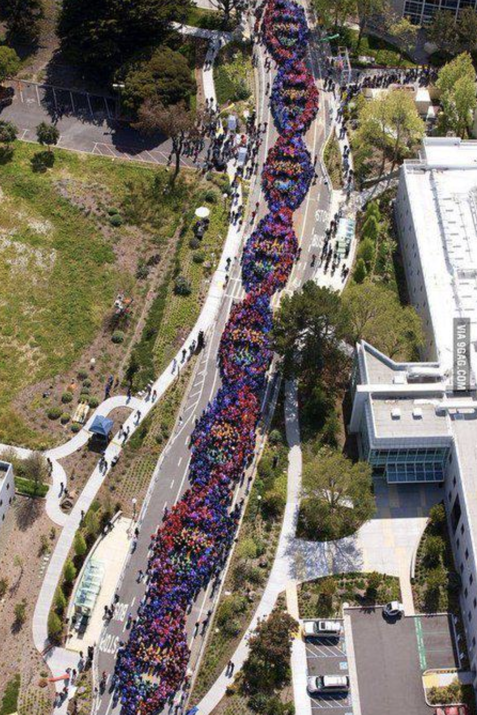 guinness book of world records for largest human dna helix