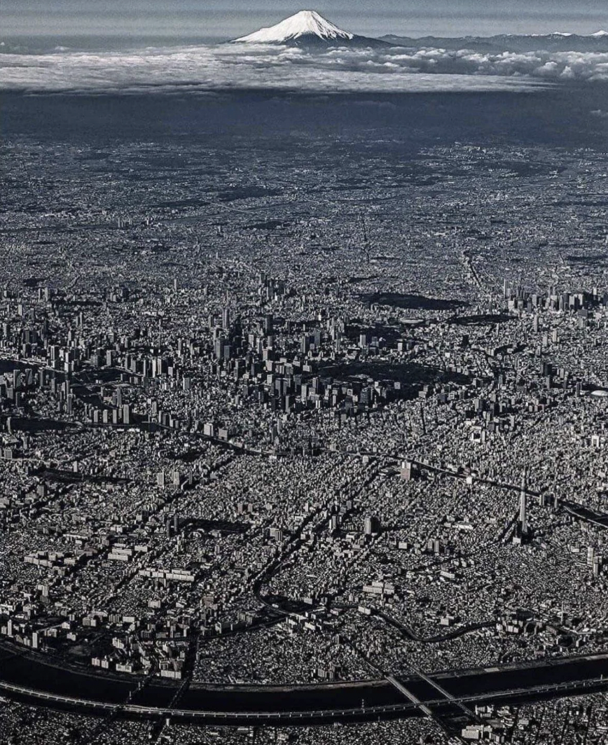 aerial photo of tokyo