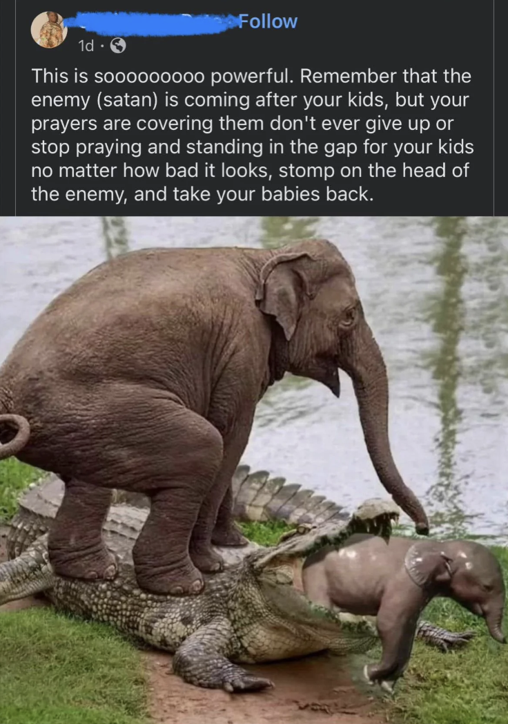 indian elephant - 1d This is so00000000 powerful. Remember that the enemy satan is coming after your kids, but your prayers are covering them don't ever give up or stop praying and standing in the gap for your kids no matter how bad it looks, stomp on the