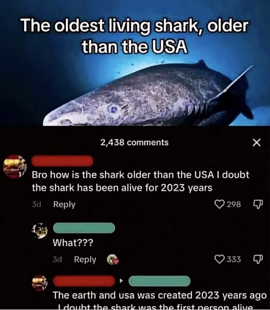 oldest shark meme - The oldest living shark, older than the Usa 2,438 Bro how is the shark older than the Usa I doubt the shark has been alive for 2023 years 3d What??? 3d 298 333 The earth and usa was created 2023 years ago I doubt the shark was the firs