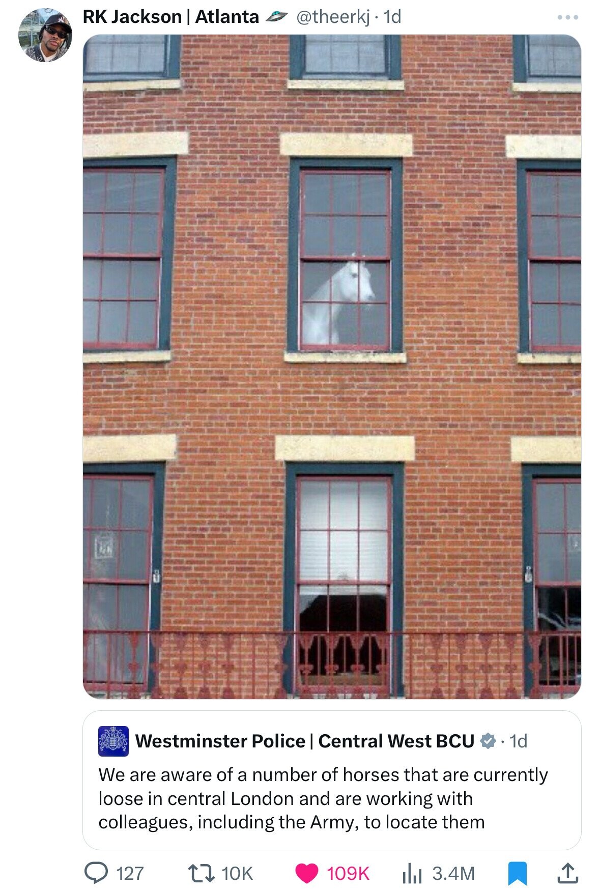 soon horse in window - Rk Jackson | Atlanta 1d Westminster Police | Central West Bcu . 1d We are aware of a number of horses that are currently loose in central London and are working with colleagues, including the Army, to locate them 127 l 3.4M