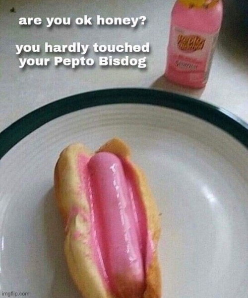 cursed food images meme - are you ok honey? you hardly touched your Pepto Bisdog imgflip.com