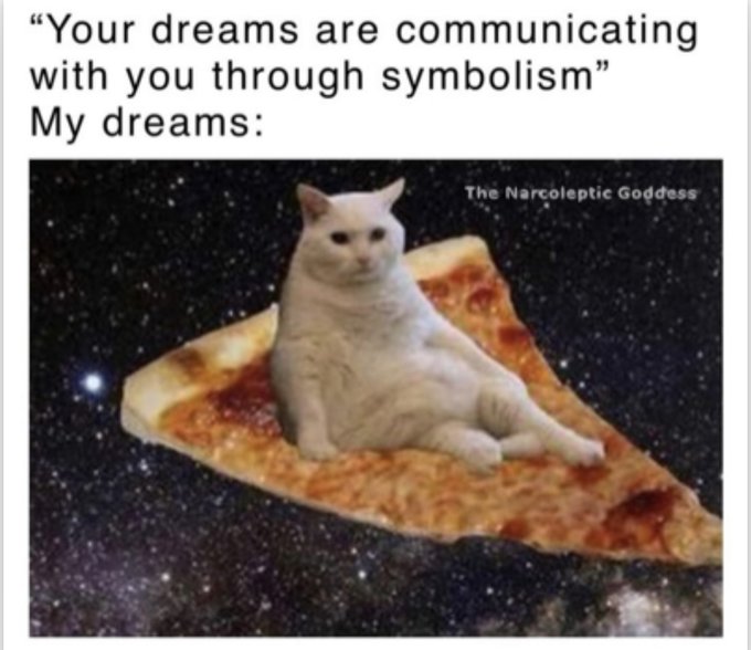 cat yawns - "Your dreams are communicating with you through symbolism" My dreams The Narcoleptic Goddess