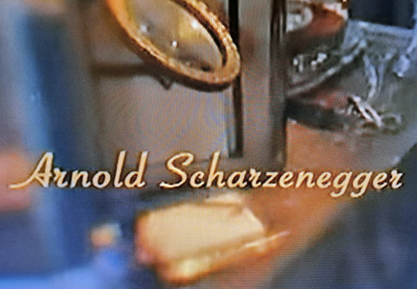 They misspelled 'Schwarzenegger' in Journey to China (Iron Mask).