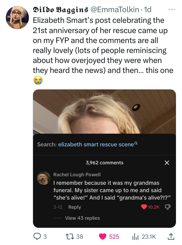 screenshot - Dildo Baggins . 1d Elizabeth Smart's post celebrating the 21st anniversary of her rescue came up on my Fyp and the are all really lovely lots of people reminiscing about how overjoyed they were when they heard the news and then... this one Se