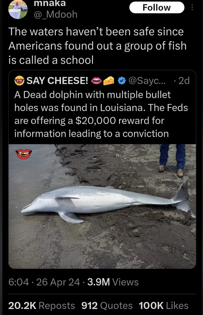 screenshot - mnaka The waters haven't been safe since Americans found out a group of fish is called a school Say Cheese! .... . 2d A Dead dolphin with multiple bullet holes was found in Louisiana. The Feds are offering a $20,000 reward for information lea