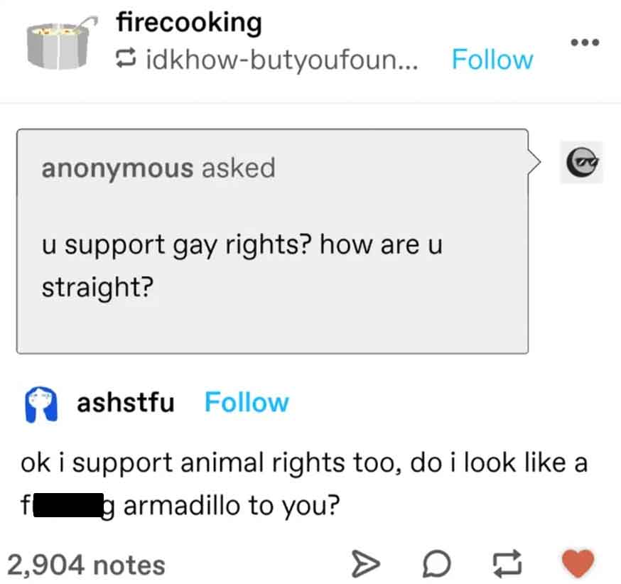 screenshot - firecooking idkhowbutyoufoun... anonymous asked u support gay rights? how are u straight? ashstfu ok i support animal rights too, do i look a f g armadillo to you? 2,904 notes A D
