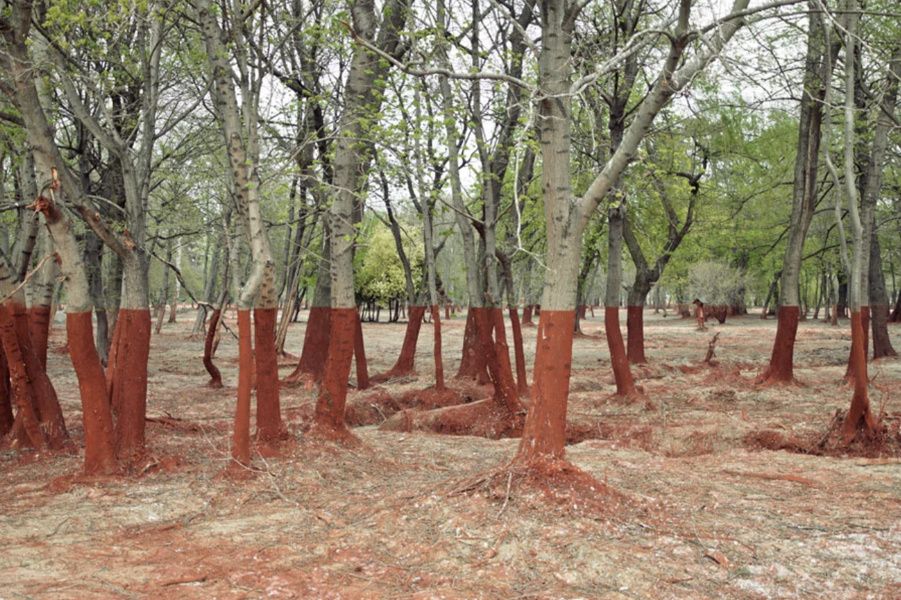 ajka alumina plant accident