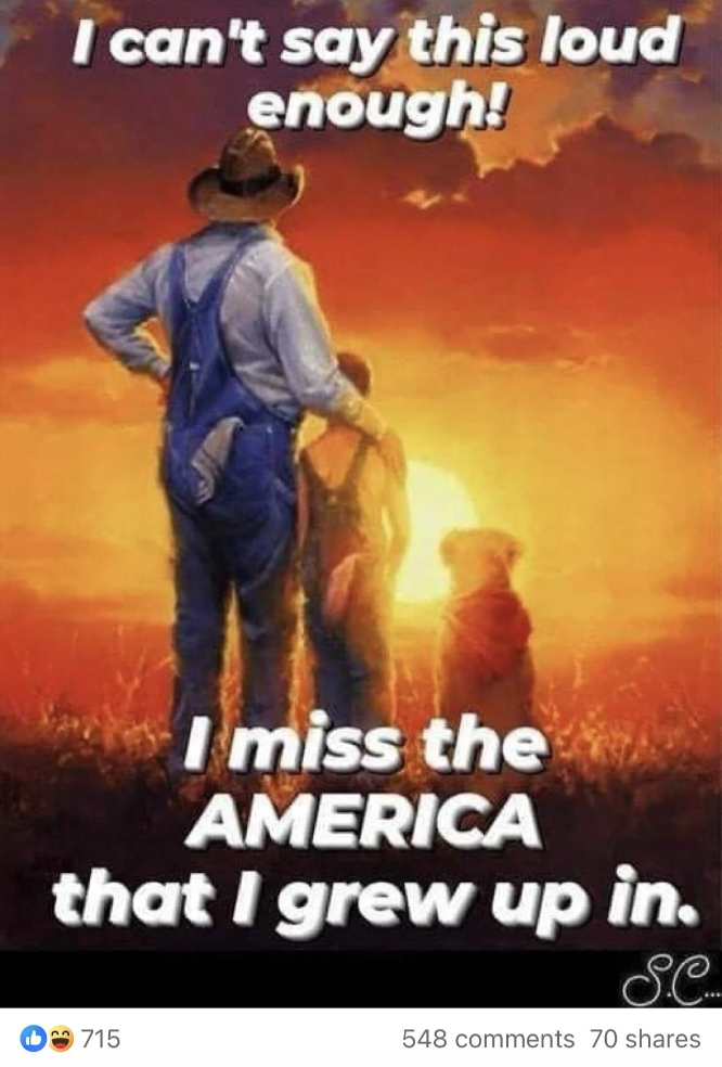 poster - I can't say this loud enough! I miss the America that I grew up in. 715 se 548 70