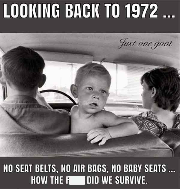photo caption - Looking Back To 1972 ... Just one goat No Seat Belts, No Air Bags, No Baby Seats ... How The F Did We Survive.