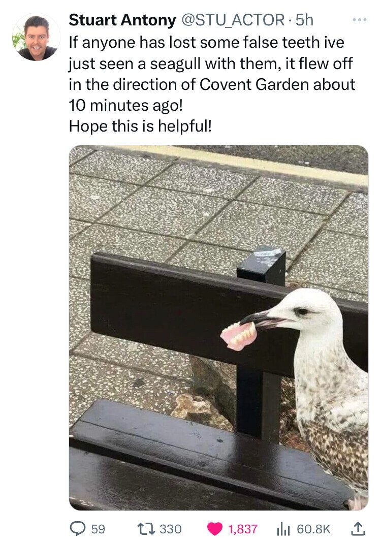 albatross - Stuart Antony . 5h If anyone has lost some false teeth ive just seen a seagull with them, it flew off in the direction of Covent Garden about 10 minutes ago! Hope this is helpful! 59 1 330 1,837 ili