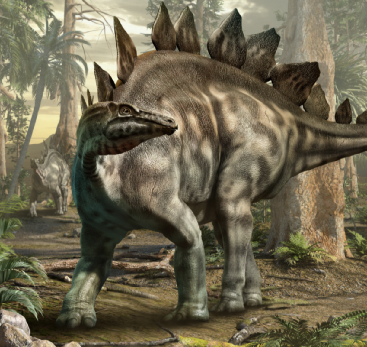 dinosaurier stegosaurus
