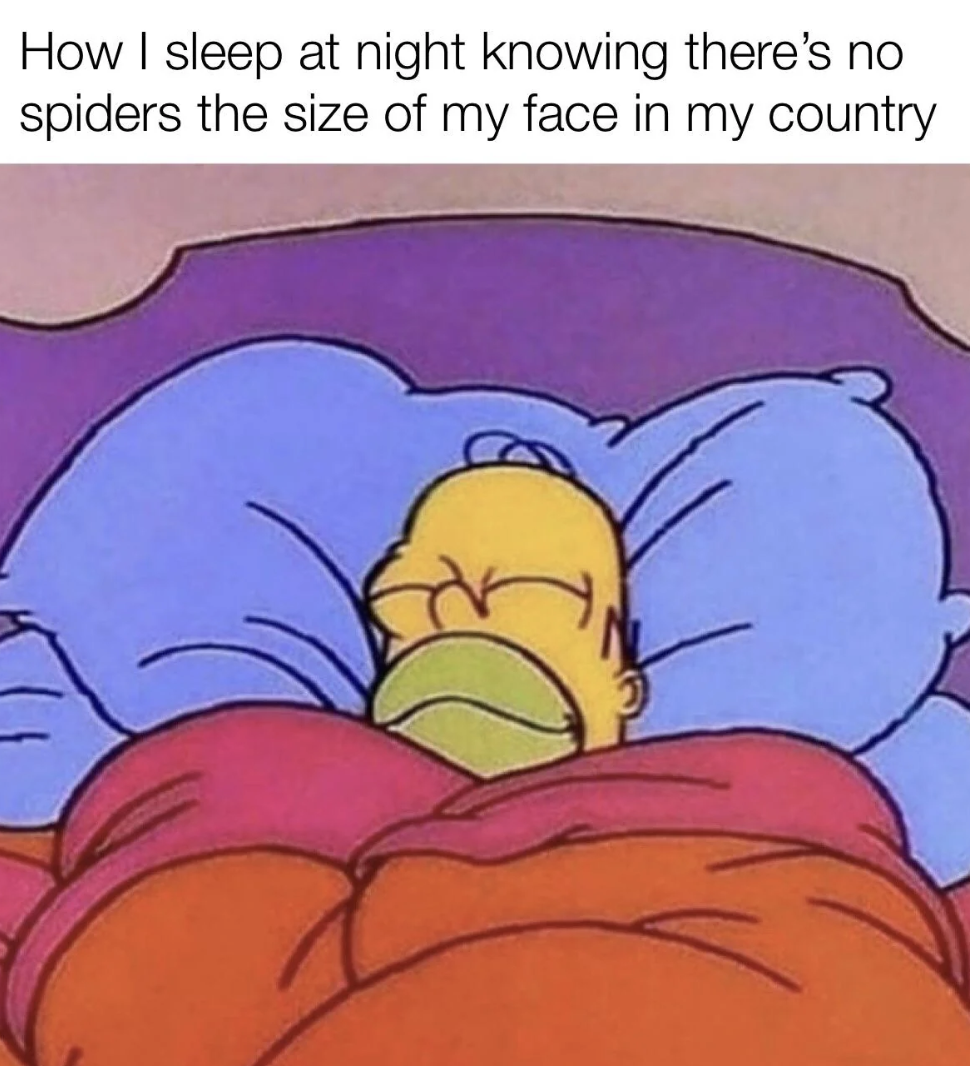 risking career for sleep meme - How I sleep at night knowing there's no spiders the size of my face in my country