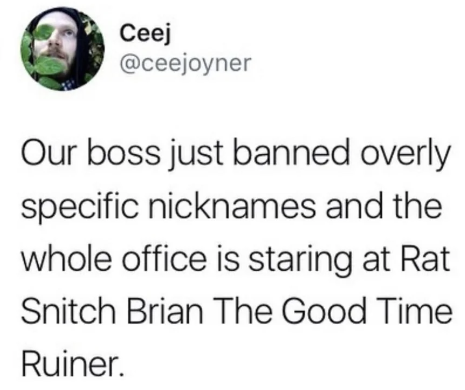 meme nicknames - Ceej Our boss just banned overly specific nicknames and the whole office is staring at Rat Snitch Brian The Good Time Ruiner.
