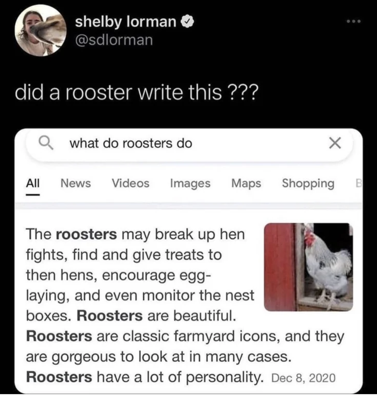 screenshot - shelby lorman did a rooster write this??? what do roosters do All News Videos Images Maps The roosters may break up hen Shopping B fights, find and give treats to then hens, encourage egg laying, and even monitor the nest boxes. Roosters are 