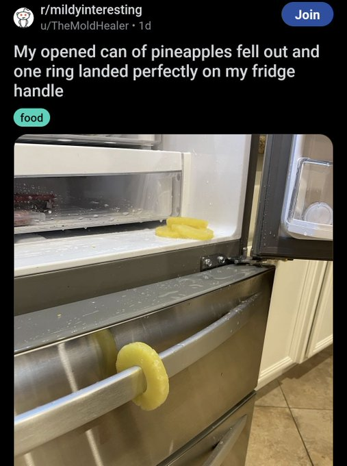 ice cream - rmildyinteresting uTheMoldHealer 1d Join My opened can of pineapples fell out and one ring landed perfectly on my fridge handle food