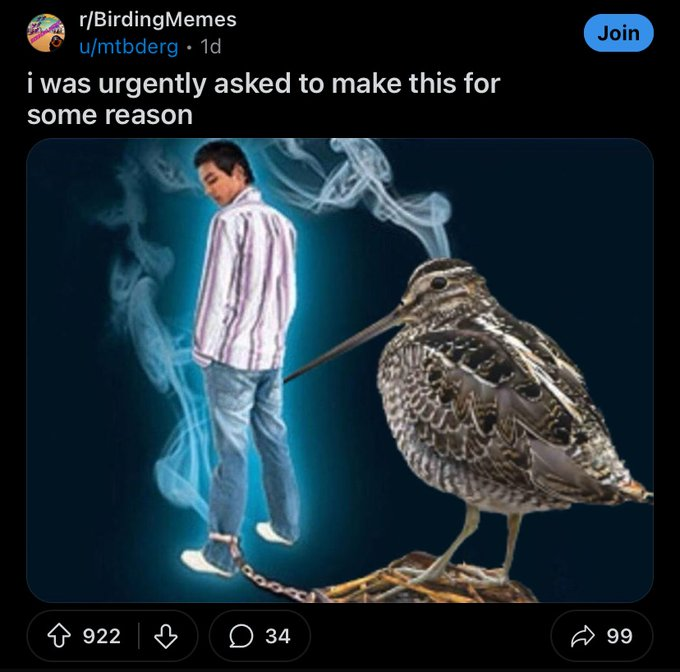 guy chained to cigarette - rBirdingMemes umtbderg 1d i was urgently asked to make this for some reason Join 922 34 99