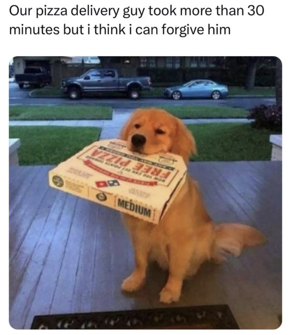 golden retriever - Our pizza delivery guy took more than 30 minutes but i think i can forgive him Medium