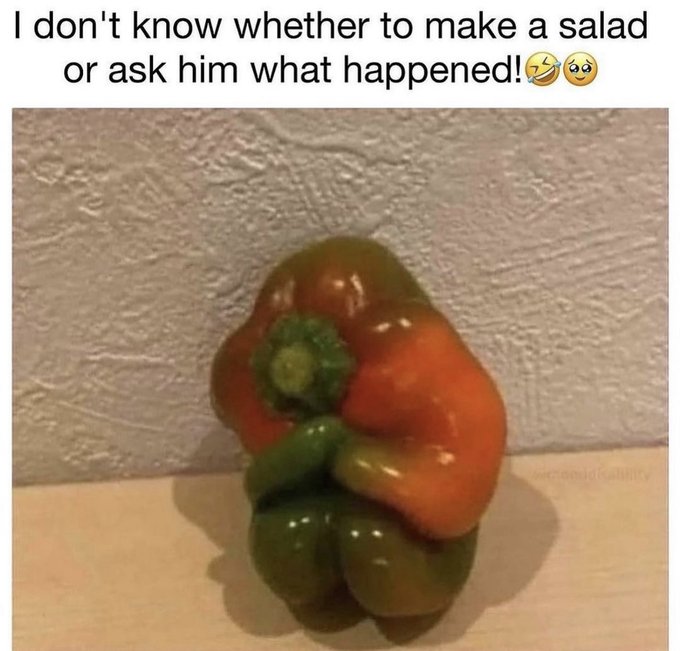 pepper memes - I don't know whether to make a salad or ask him what happened!