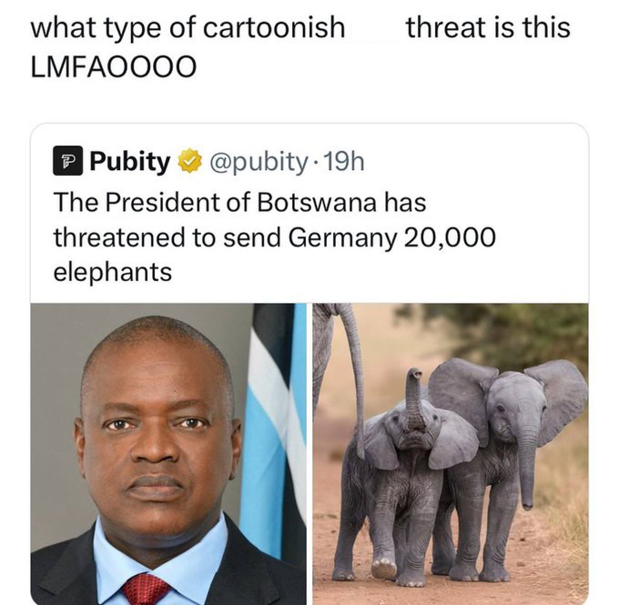 botswana germany elephants meme - what type of cartoonish Lmfaoooo threat is this P Pubity . 19h The President of Botswana has threatened to send Germany 20,000 elephants