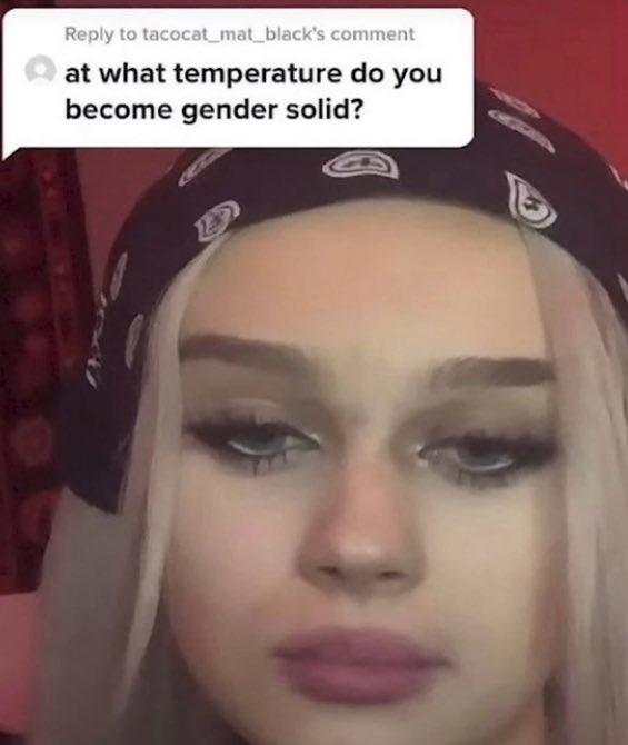Gender - to tacocat_mat_black's comment at what temperature do you become gender solid? 2