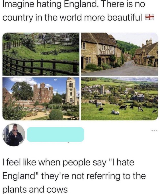 new england people memes - Imagine hating England. There is no country in the world more beautiful I feel when people say "I hate England" they're not referring to the plants and cows
