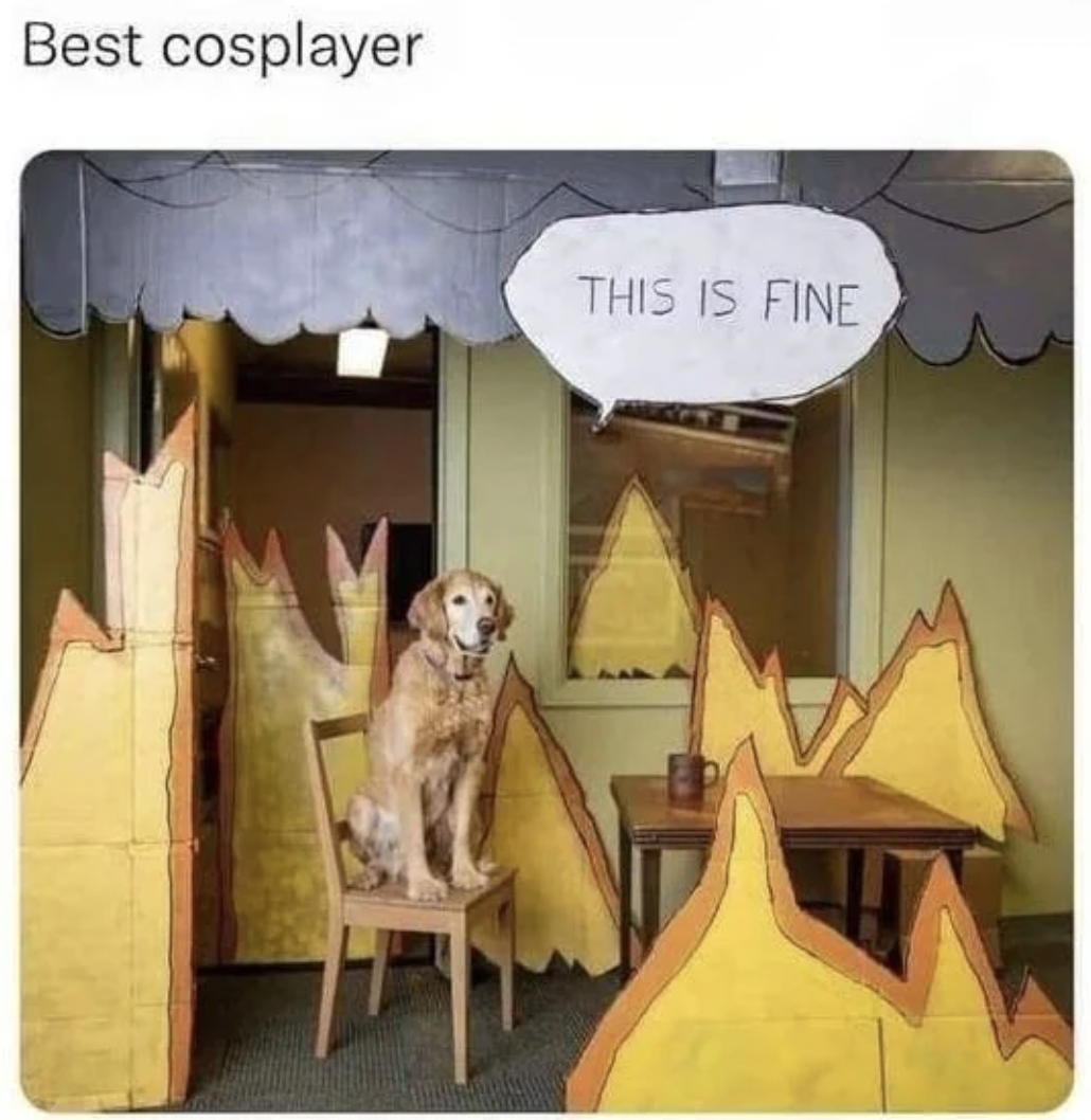 Best cosplayer This Is Fine